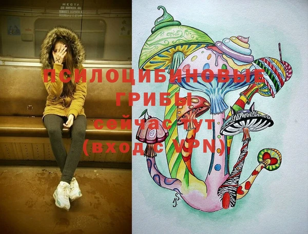мдпв Белокуриха