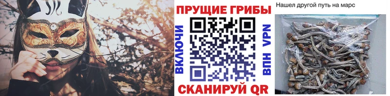 Галлюциногенные грибы Magic Shrooms  Купить где  Апатиты 
