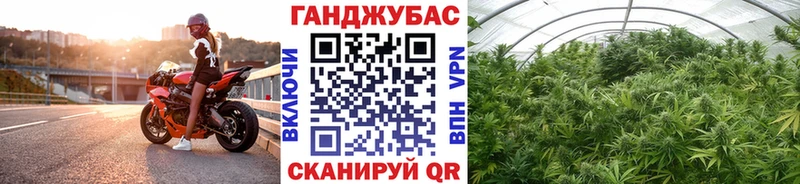 Конопля VHQ  Купить где  Апатиты 